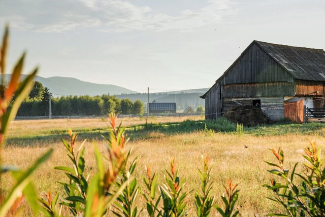 green and orange plants frame the bottom of the image. a field of grass sprawls out in front of a barn-like structure. in the background is a building with solar panels on the roof. further back are trees and mountains.