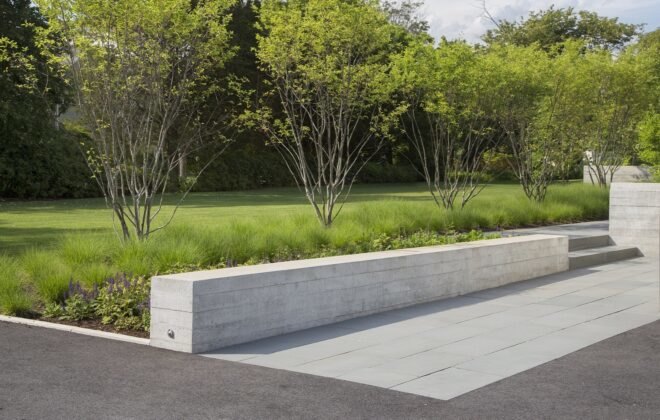 concrete walkway surrounded by greenery