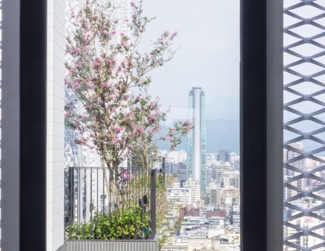 pink flowered tree on an apartment balcony