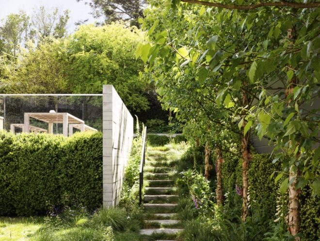 staircase leading to lush tree-filled backyard