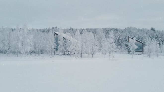 a cabin concealed by snow covered trees