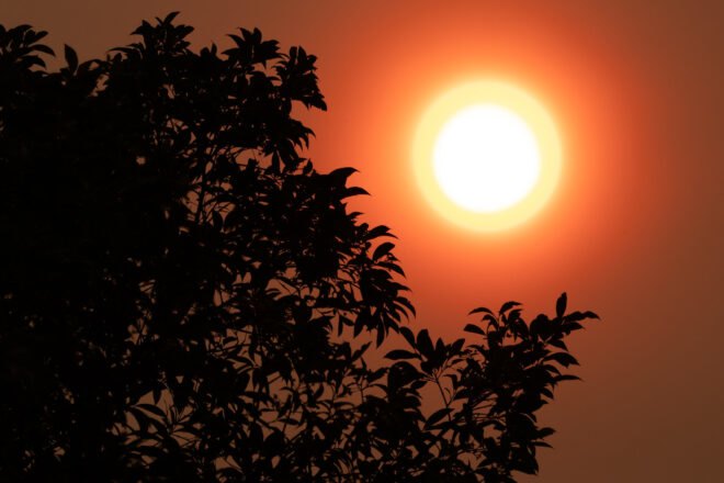 wildfire smoke creating orange haze around the sun in Sydney, Australia