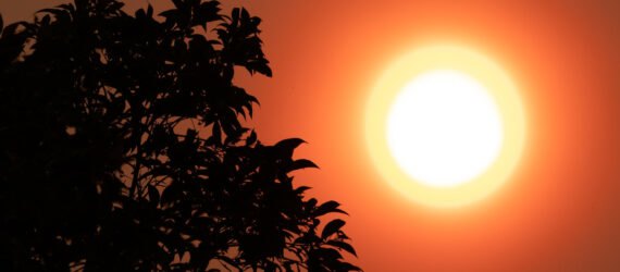 wildfire smoke creating orange haze around the sun in Sydney, Australia