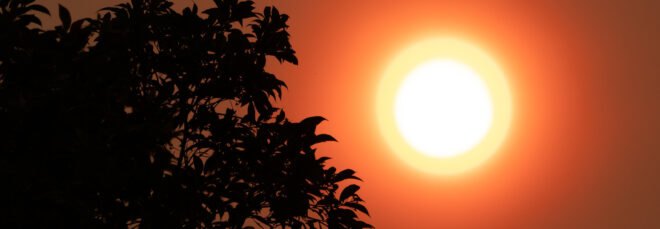 wildfire smoke creating orange haze around the sun in Sydney, Australia