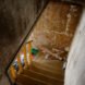 before image of old home with carpeted staircase and peeling wallpaper