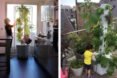 On the left, person tending to plants in a vertical garden. On the right, child tending to plants on an outdoor vertical garden.