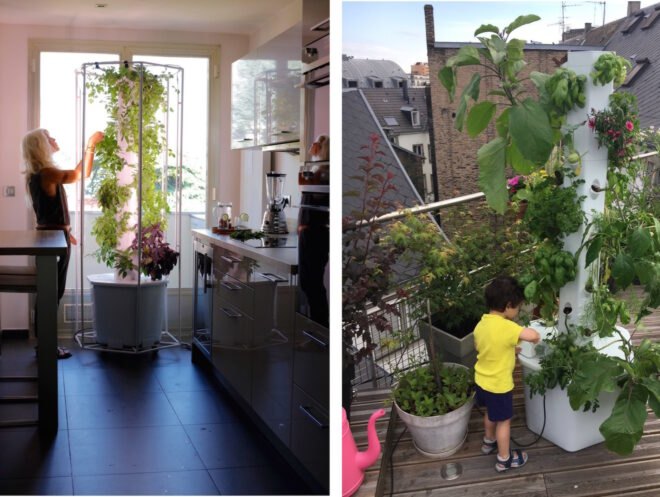 On the left, person tending to plants in a vertical garden. On the right, child tending to plants on an outdoor vertical garden.