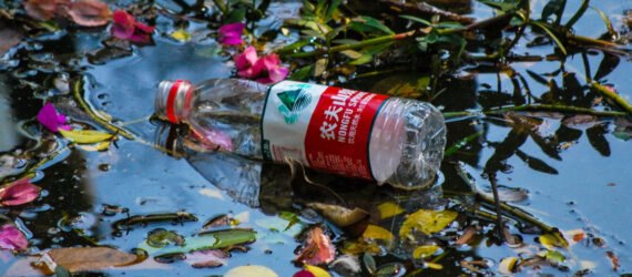 empty plastic bottle in a puddle