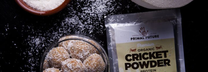 to the top left is a bowl of what appears to be shredded coconut. to the top right is a shaved, whole coconut. to the bottom left are tan colored snack balls covered in shredded coconut. to the bottom right is a bag of cricket powder