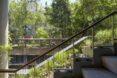 a stairway lined with greenery