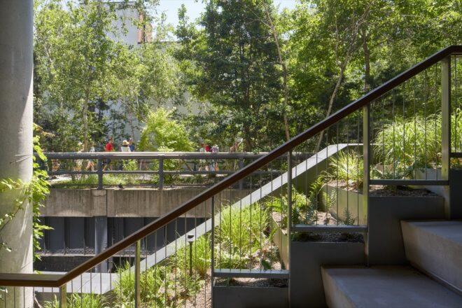 a stairway lined with greenery