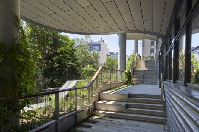 a stairwell open to the outdoors, with lush greenery and sunlight