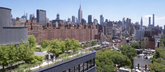 a shot of the surrounding cityscape, with greenery and brick buildings