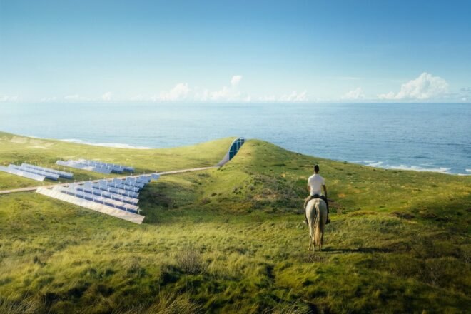 a person standing on a lush green landscape looking out over the ocean