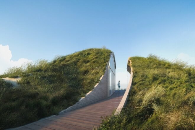a wooden pathway flanked by greenery