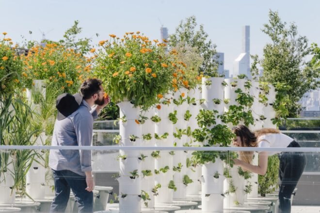 people enjoying a rooftop garden