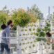 people enjoying a rooftop garden