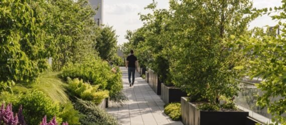 a walkway through a rooftop garden
