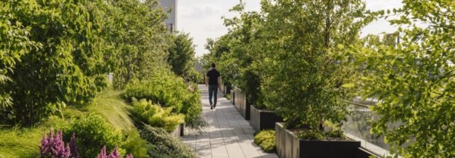 a walkway through a rooftop garden