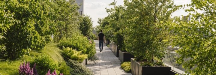 a walkway through a rooftop garden
