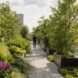 a walkway through a rooftop garden