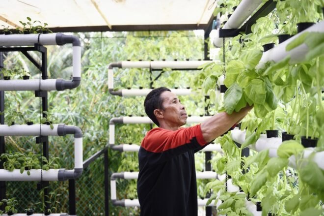 a person tending to plants in a green room full of plants
