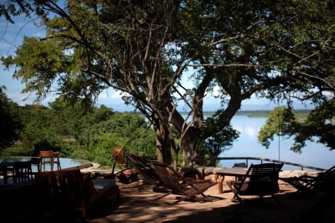 outdoor lounge area shaded by large trees