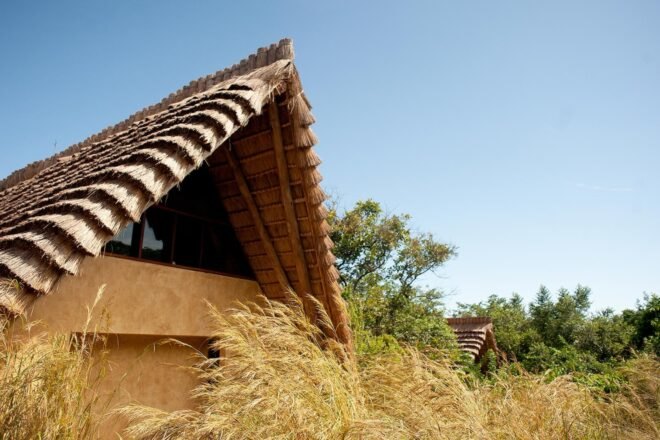 pitched roof structure surrounded by greenery