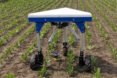 a platform held up by three legs with wheels (the Odd.Bot), out in a green field