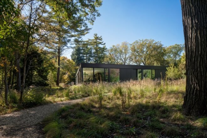 one-story home surrounded by greenery