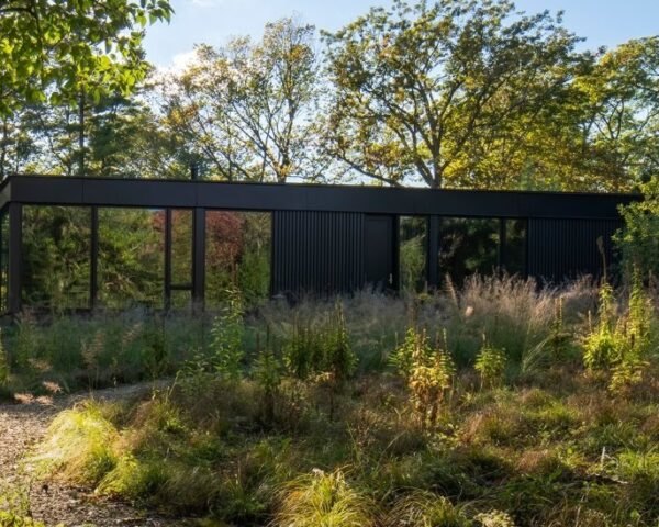 one-story home clad in jet black cladding