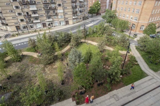 an overhead shot of a green space with a curved walkway cutting through it