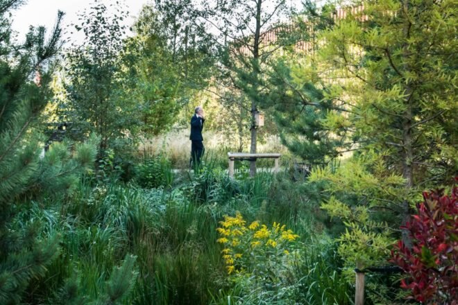 a large green space with flowers and a person walking through a walkway