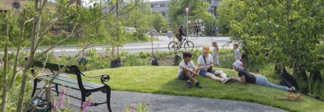 a green space with a walkway and bench and people lounging on the grass