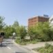 a green space with a bike path where people are riding bikes. a brown-orange building is in the background