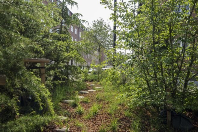 a green space with a stepping stone path going through it