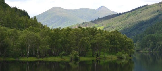 a forested area surrounded by waters, with rolling green hills in the backgroun