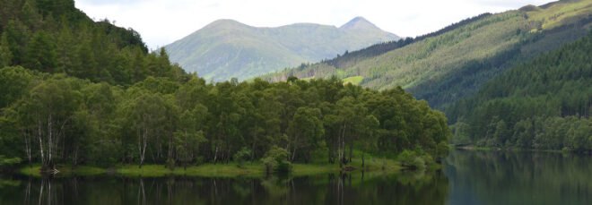 a forested area surrounded by waters, with rolling green hills in the backgroun