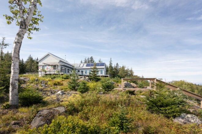 white home with pitched roof surrounded by greenery