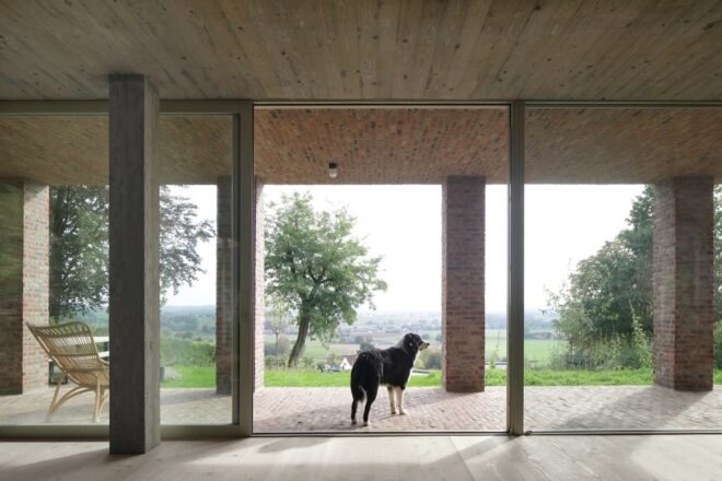 dog walking through open sliding glass door onto a brick porch