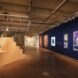 colorful paintings on a blue wall