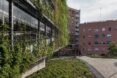 corner of building clad in green vegetation