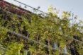 corner of metal building surrounded by greenery