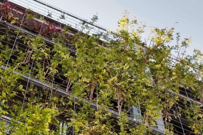 corner of metal building surrounded by greenery