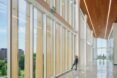 student looking out tall glass windows