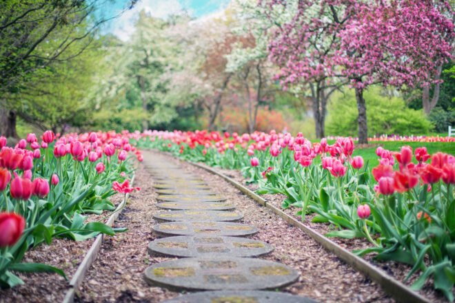 a stone and wood path through a field of flowers