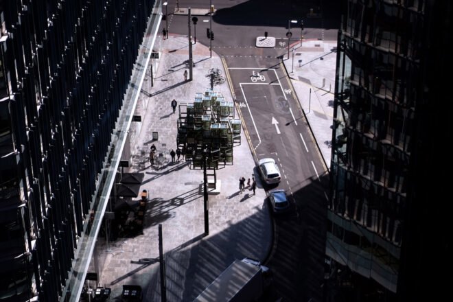 overhead shot of the Glasir tree in the middle of a sidewalk area in a city
