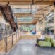 green sofas in large concrete and light wood room