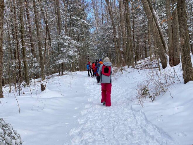 group of people snowshoeing through a snowy forest