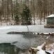 icy pond in a snowy forest